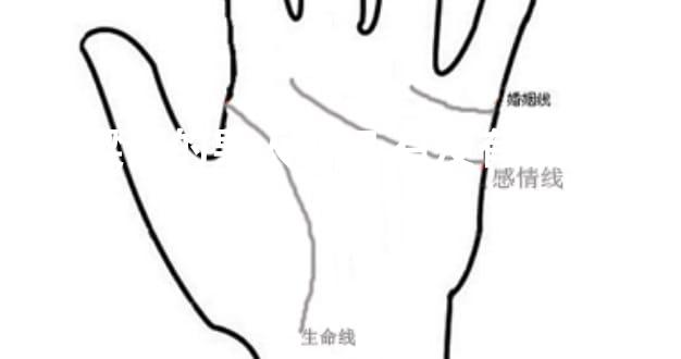 鼻梁高的男人面相 有沒有發財的可能